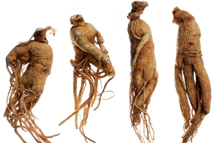 Ginseng root for penis enlargement