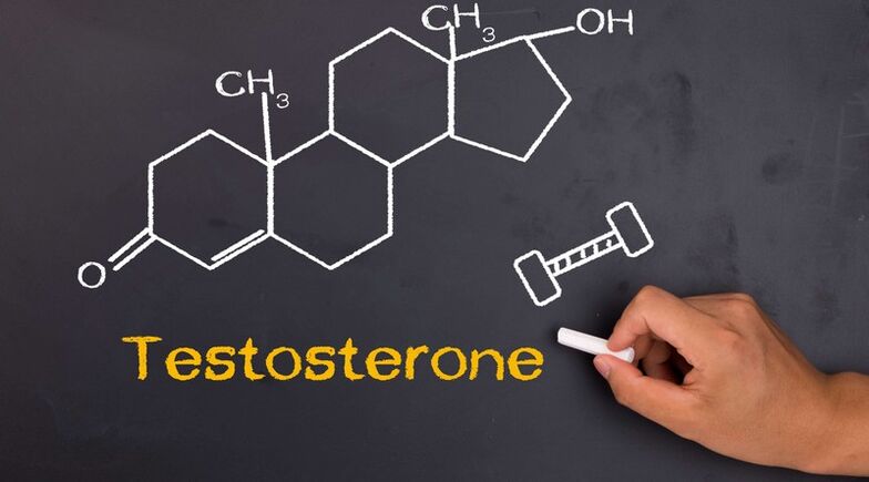 Testosterone levels affect the size of the male penis